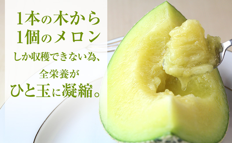 クラウンメロン 1玉入り 約1.2kg 白等級 化粧箱入り 果物 フルーツ メロン メロンの王様 最高級 贈答品 プレゼント お取り寄せ 浜松市 静岡