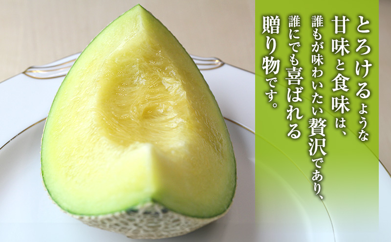 クラウンメロン 1玉入り 約1.2kg 白等級 化粧箱入り 果物 フルーツ メロン メロンの王様 最高級 贈答品 プレゼント お取り寄せ 浜松市 静岡
