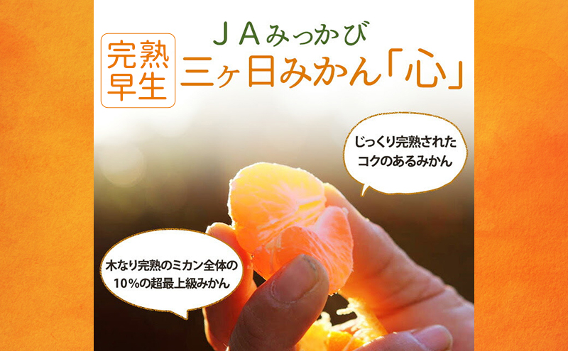 JAみっかび 完熟早生 三ヶ日みかん「心」 赤秀L 約4kg みかん ミカン フルーツ 果物 静岡 浜松市