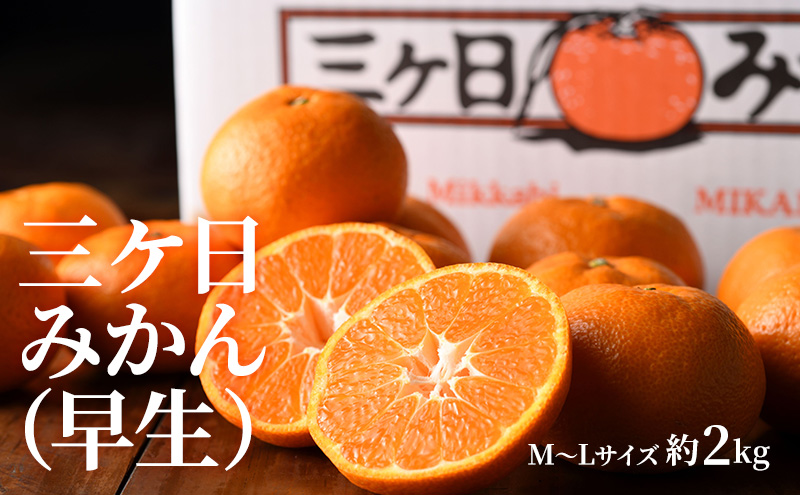 【2026年11月発送】 クラウンメロン＆三ヶ日みかん詰合せ クラウンメロン1個約1.3Kg 白等級 三ヶ日みかん（早生）約2Kg MかL メロン ミカン 詰合せ フルーツ 果物 静岡県 浜松市