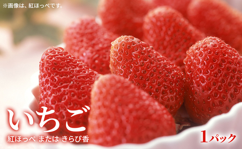 【2026年2月発送】 旬のフルーツ詰合せ いちご＆不知火 紅ほっぺまたはきらぴ香 約260g1パック 不知火4個約800g しらぬい デコ 苺 ミカン 【配送不可：離島】 フルーツセット 静岡 浜松市