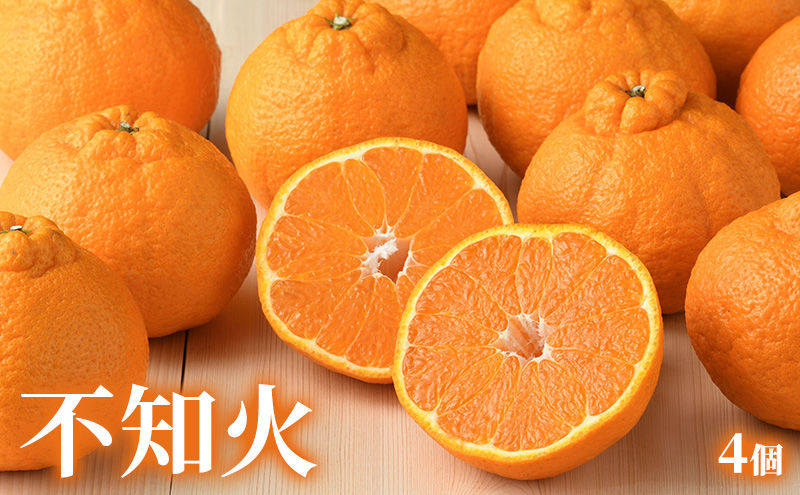 【2026年2月発送】 旬のフルーツ詰合せ いちご＆不知火 紅ほっぺまたはきらぴ香 約260g1パック 不知火4個約800g しらぬい デコ 苺 ミカン 【配送不可：離島】 フルーツセット 静岡 浜松市