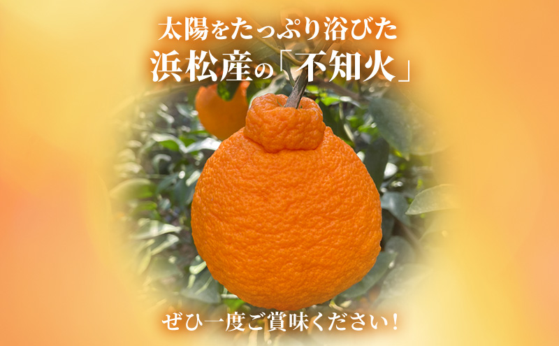 【2026年3月以降発送】 不知火 約5kg 18～24個  しらぬい デコ かんきつ 柑橘 みかん ミカン 蜜柑 フルーツ 静岡 浜松市