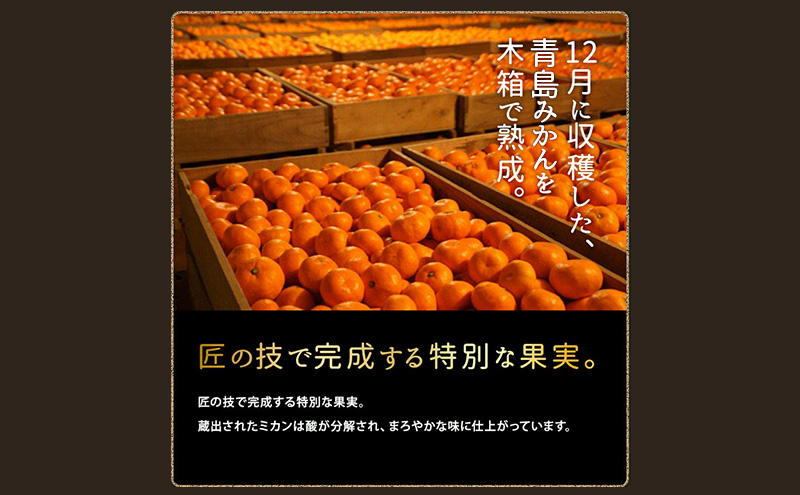 青島三ヶ日みかん 本貯蔵 「誉れ」  3L 約3.5kg （約13個）みかん ミカン フルーツ 果物 静岡 浜松市