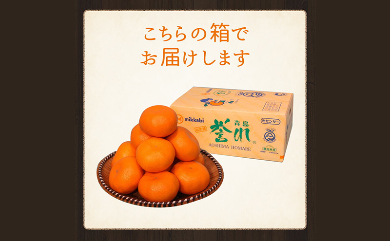 青島三ヶ日みかん 本貯蔵 「誉れ」  3L 約3.5kg （約13個）みかん ミカン フルーツ 果物 静岡 浜松市