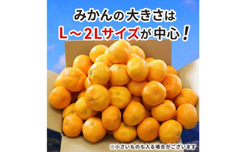 【訳あり】店長おまかせ浜松みかん 約2kg サイズL～2L ミカン 蜜柑 フルーツ  みかん ミカン 三ヶ日 みかん 蜜柑 糖度 静岡 浜松市