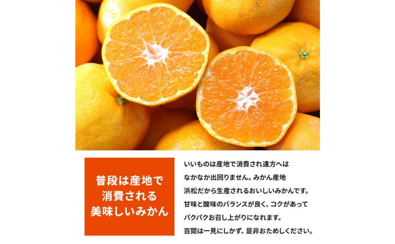 【訳あり】店長おまかせ浜松みかん 約8kg サイズL～2L ミカン 蜜柑 フルーツ  みかん ミカン 三ヶ日 みかん 蜜柑 糖度 静岡 浜松市