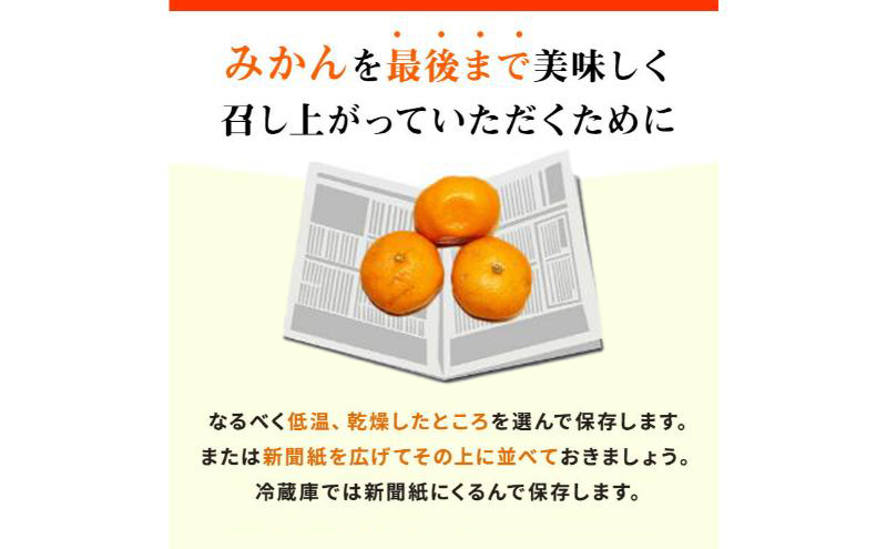 【訳あり】店長おまかせ浜松みかん 約8kg サイズL～2L ミカン 蜜柑 フルーツ  みかん ミカン 三ヶ日 みかん 蜜柑 糖度 静岡 浜松市