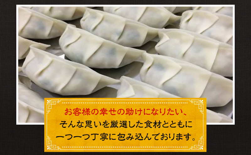 幸之助餃子20個入り タレ付き 餃子 ギョウザ ぎょうざ 冷凍餃子 浜松餃子 野菜たっぷり 薄皮 手包み 静岡 浜松市