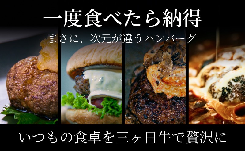 次元ハンバーグ120g×18個 【配送不可：離島】金乃縁 ハンバーグ 冷凍 国産 三ヶ日牛 牛肉 トリュフ風味 ギフト 冷凍食品 惣菜 静岡 浜松市