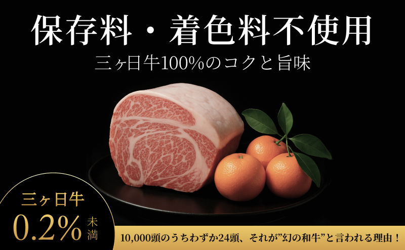 次元ハンバーグ120g×18個 【配送不可：離島】金乃縁 ハンバーグ 冷凍 国産 三ヶ日牛 牛肉 トリュフ風味 ギフト 冷凍食品 惣菜 静岡 浜松市