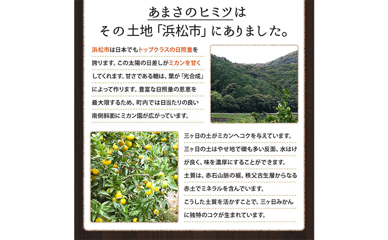 ミカちゃんマークの三ヶ日青島みかん 良M 約4kg（目安：約34個） みかん ミカン 果物 フルーツ 静岡 浜松市