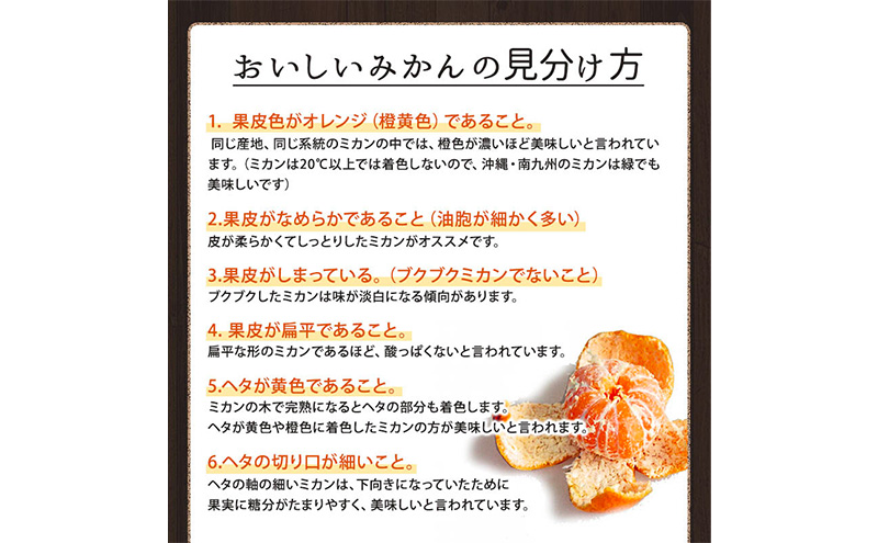 ミカちゃんマークの三ヶ日青島みかん 良M 約8kg（目安：約68個） みかん ミカン 果物 フルーツ 静岡 浜松市