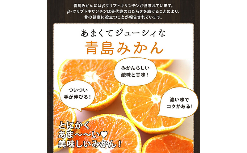 ミカちゃんマークの三ヶ日青島みかん 優2L 約3.5kg（目安：約20個） みかん ミカン 果物 フルーツ 静岡 浜松市