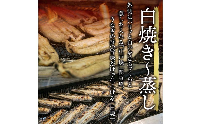 浜名湖産 うなぎ蒲焼 約140g×5尾入り うなぎ ウナギ 鰻 ブランドうなぎ 蒲焼 浜名湖 とろける ふっくら 香ばしい 旨味 肉厚 自家製たれ 二度焼き 静岡 浜松市