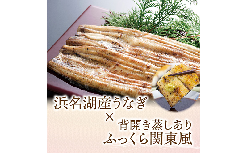 【6か月定期便】浜名湖産 うなぎ白焼　約140g×2尾入り　計6回 うなぎ ウナギ 鰻 ブランドうなぎ 白焼 浜名湖 とろける ふっくら 香ばしい 旨味 肉厚 静岡 浜松市
