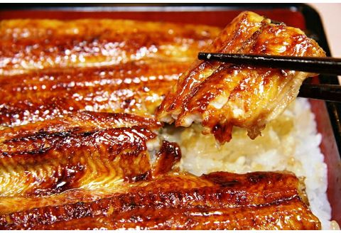 静岡 名産 うなぎ蒲焼 1人前 120g-140g 冷蔵 三島名物 3代続く うなぎ屋 真空パック 御殿川 土用丑の日 晩ごはん 家族 惣菜 鰻 蒲焼き うな重 ウナギ 老舗 伝統 グルメ ディナー 贈り物 鰻料理 ウナギの蒲焼 うなぎレシピ 和食 三島うなぎ 静岡うなぎ 三島市 静岡県