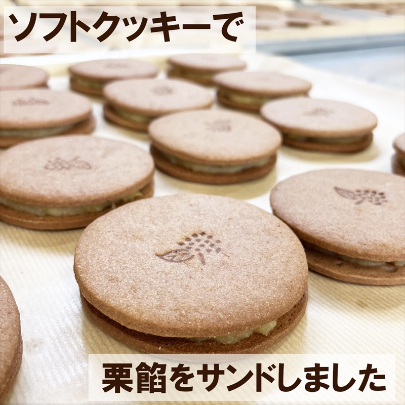 しっとり クッキー と 洋風栗餡 ブイマロン 5個入 焼き菓子 洋菓子 和菓子 お菓子 スイーツ 栗 栗餡 洋酒 チョコレート お祝い ギフト 贈答用 プレゼント 兎月園 静岡 三島市