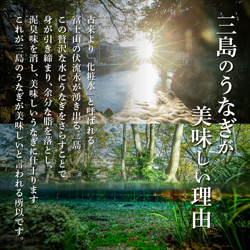 静岡 名産 うなぎ 蒲焼 7人前 840g 冷蔵 三島名物 老舗 うなぎ屋 真空パック 御殿川 土用丑の日 晩ごはん 家族 惣菜 鰻 ウナギ 蒲焼き うな重 ウナジュウ 贈り物 ギフト グルメ 鰻料理 うなぎ専門店 鰻重 うなぎ丼 うなぎ蒲焼 うなぎセット うなぎ冷蔵 うなぎギフト 三島市 静岡県