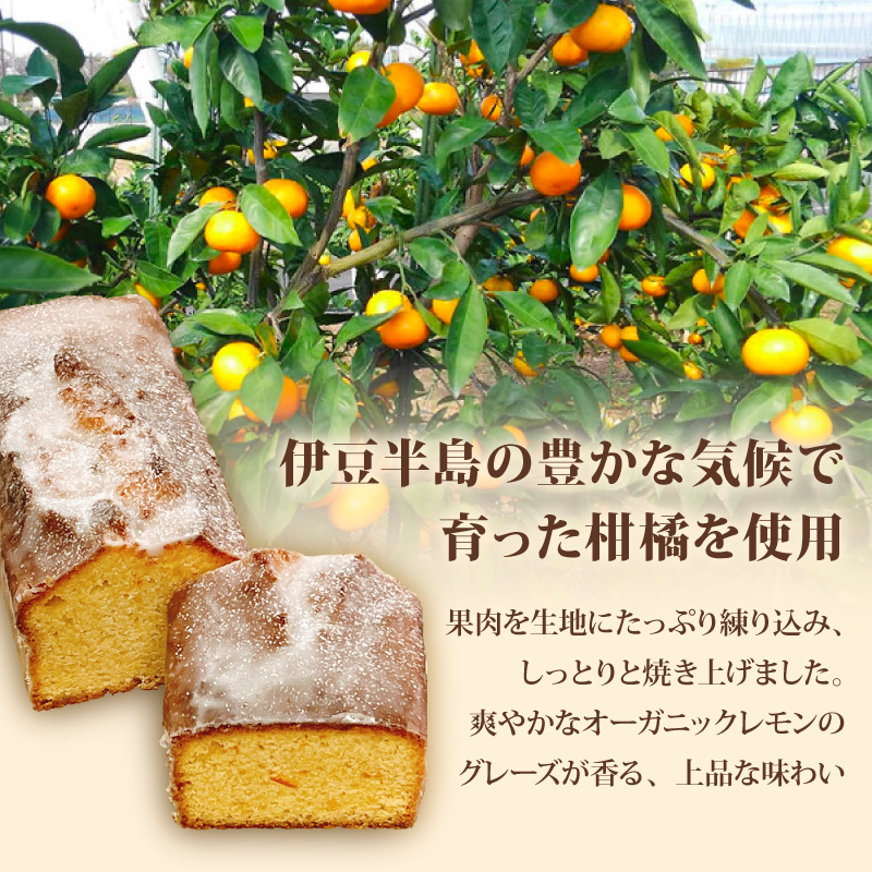 【季節の柑橘】 柑橘のパウンドケーキ アグリューム ホール 1本  みかん スイーツ 菓子 お菓子 ケーキ 焼菓子 焼き菓子 洋菓子  オレンジ 柑橘 ミカン フルーツ くだもの 果物 デザート おやつ 自家製 お取り寄せ 贈答 ギフト Delicieux 伊豆 静岡県 三島市