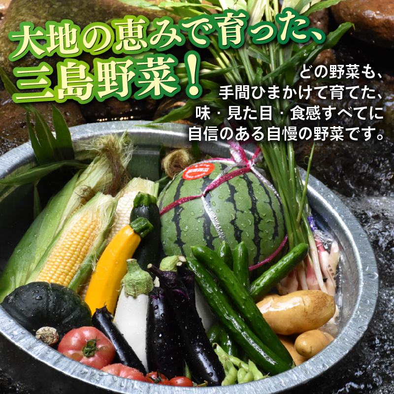 【2026年10月発送 秋冬野菜】三島野菜詰め合わせセット 8種類以上 JAふじ伊豆 ファーマーズマーケット みしまるかん お取り寄せ グルメ 野菜 旬の詰め合わせ 三島市 静岡県