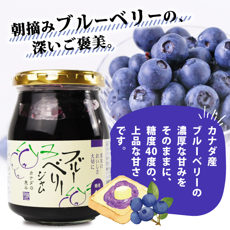 糖度40度 ジャム 3種セット 3種各1個 ブルーベリー イチゴ ニューサマー オレンジ フルーツ 贈答用 プレゼント 果実 高糖度 手作り 朝食 パン トースト ヨーグルト スイーツ デザート 三島市 静岡県