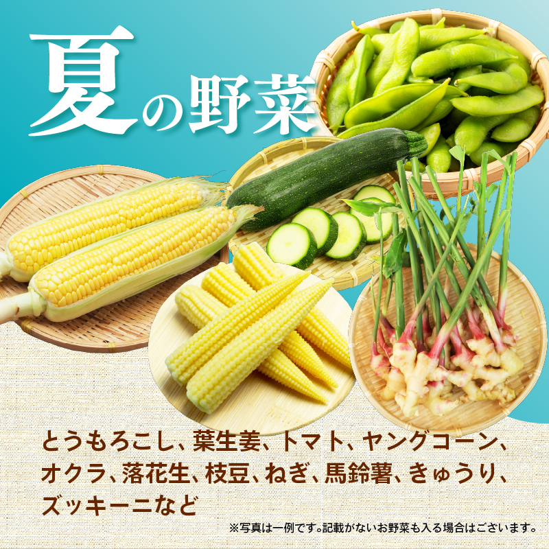 【2026年8月発送 夏野菜】三島野菜詰め合わせセット 8種類以上 JAふじ伊豆 ファーマーズマーケット みしまるかん お取り寄せ グルメ 野菜 旬の詰め合わせ 三島市 静岡県