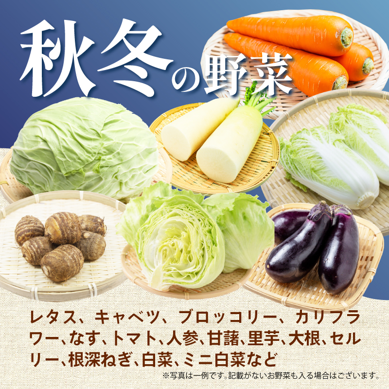 【2026年10月発送 秋冬野菜】三島野菜詰め合わせセット 8種類以上 JAふじ伊豆 ファーマーズマーケット みしまるかん お取り寄せ グルメ 野菜 旬の詰め合わせ 三島市 静岡県