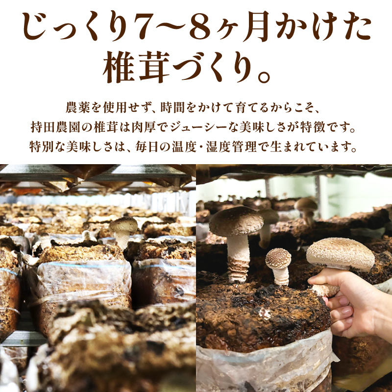 乾燥しいたけスライス 120g 椎茸 しいたけ シイタケ きのこ 乾燥しいたけ 乾燥シイタケ 乾燥椎茸 生椎茸 野菜 菌床栽培 肉厚 キノコ 新鮮 出汁 煮物 味噌汁 国産 農薬不使用 健康 食物繊維 富士山 湧水 箱根 ダイエット 静岡県 三島市