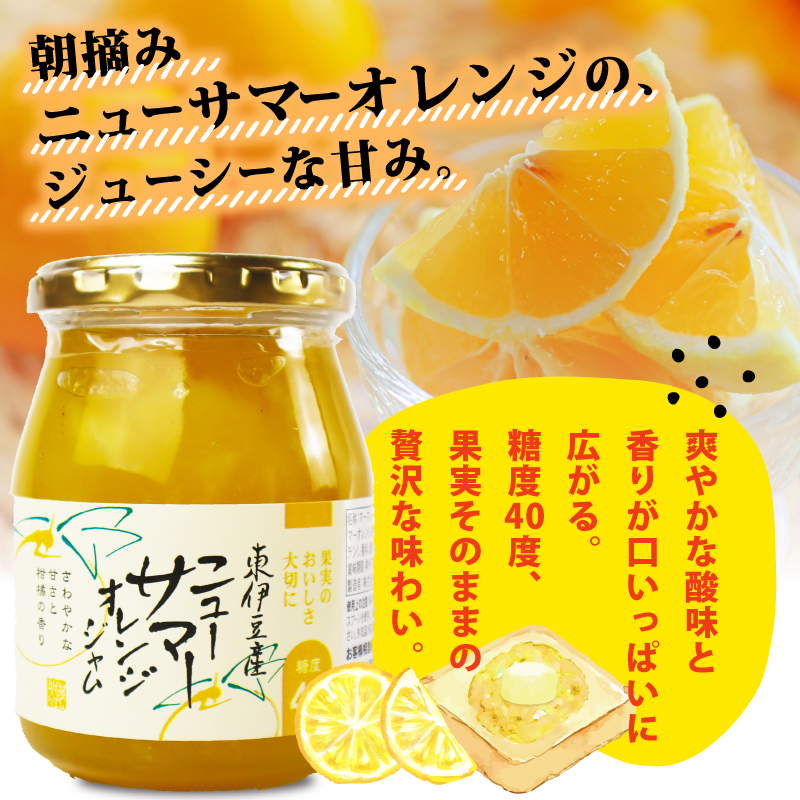 糖度40度 ジャム 3種セット 3種各1個 ブルーベリー イチゴ ニューサマー オレンジ フルーツ 贈答用 プレゼント 果実 高糖度 手作り 朝食 パン トースト ヨーグルト スイーツ デザート 三島市 静岡県