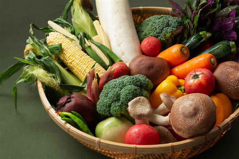 【レストラン利用券】富士山三島東急ホテル ROBATA GRILL 炉 L’EAU 館内13階レストラン 利用券 25,000円 分 （ 2,500円×10枚 ） 高層階 富士山 観光 旅行 温浴 露天風呂 絶景 旬の食材  レストラン 炉端グリル料理 和洋料理 富士山 三島 東急ホテル 静岡県 静岡 三島市