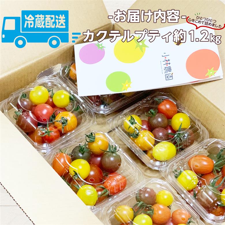 カクテルプティ 約1.2kg ミニトマト カラフルミニトマト
