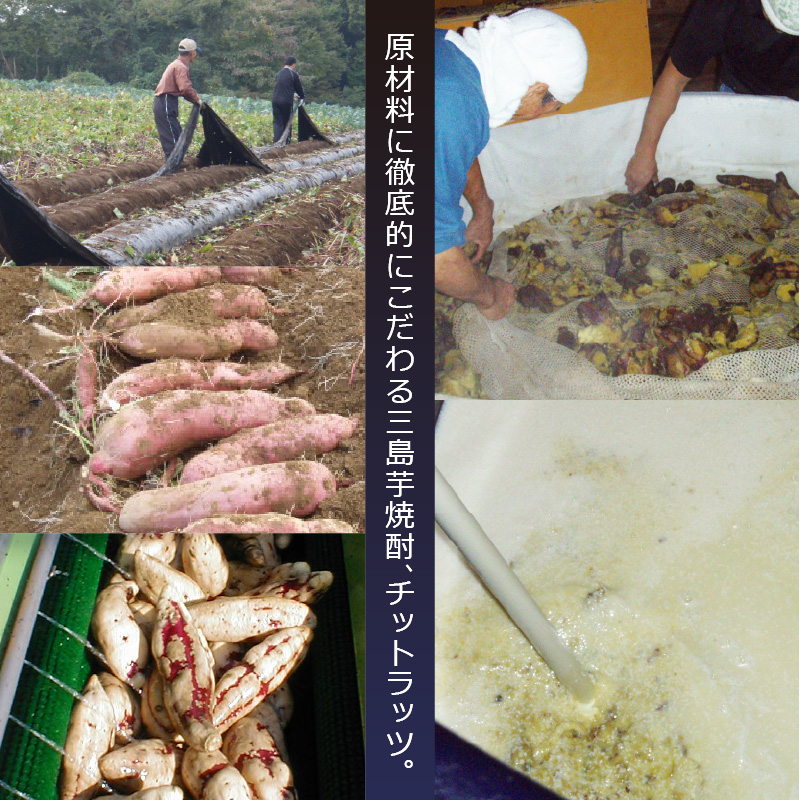 三島芋焼酎 チットラッツ 1800ml 2本 三島甘藷 芋焼酎 お酒 富士山 雪解け水 地酒 焼酎 さつまいも サツマイモ 父の日 母の日 ギフト プレゼント アルコール いも焼酎 本格焼酎 蔵元 酒造 贈り物 お祝い 静岡 特産品 三島市 静岡県