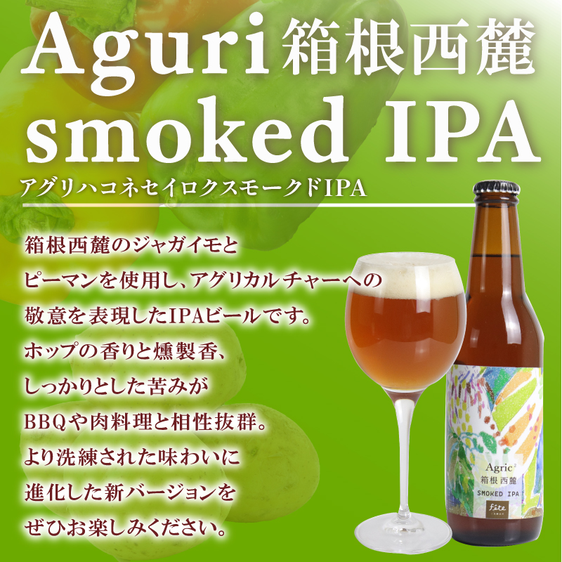 クラフトビール fete三島醸造所おまかせ 3本 クラフトビール フルーツ 酒 麦酒 ホップ 贈答 おすすめ 父の日 母の日 お祝い ギフト プレゼント パーティー 湧水 富士山 三島市 静岡県