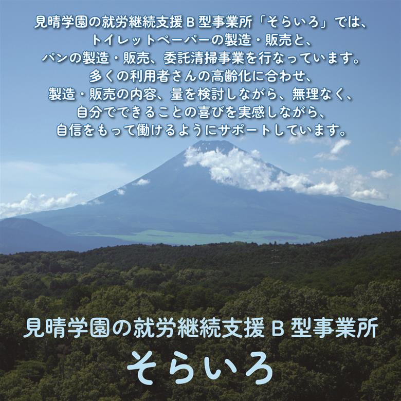 【2026年3月～順次発送】 トイレットペーパー 100ロール シングル 備蓄 防災 消耗品 生活用品 エンボス加工 社会福祉法人 見晴学園 そらいろ 静岡県 三島市