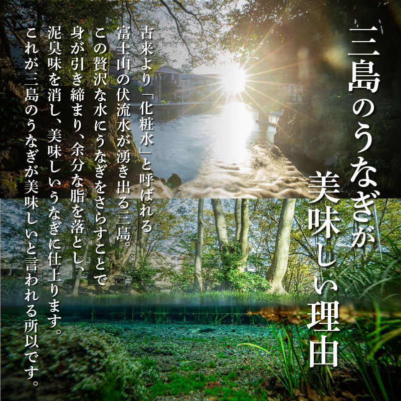 鰻蒲焼 4人前  すみの坊 うなぎ 国産 鰻 蒲焼き 手焼き 真空パック ウナギ 土用丑の日 うな重 うな丼 晩ごはん 家族 惣菜 鰻重 贈り物 ギフト 三島うなぎ 三島市 静岡県