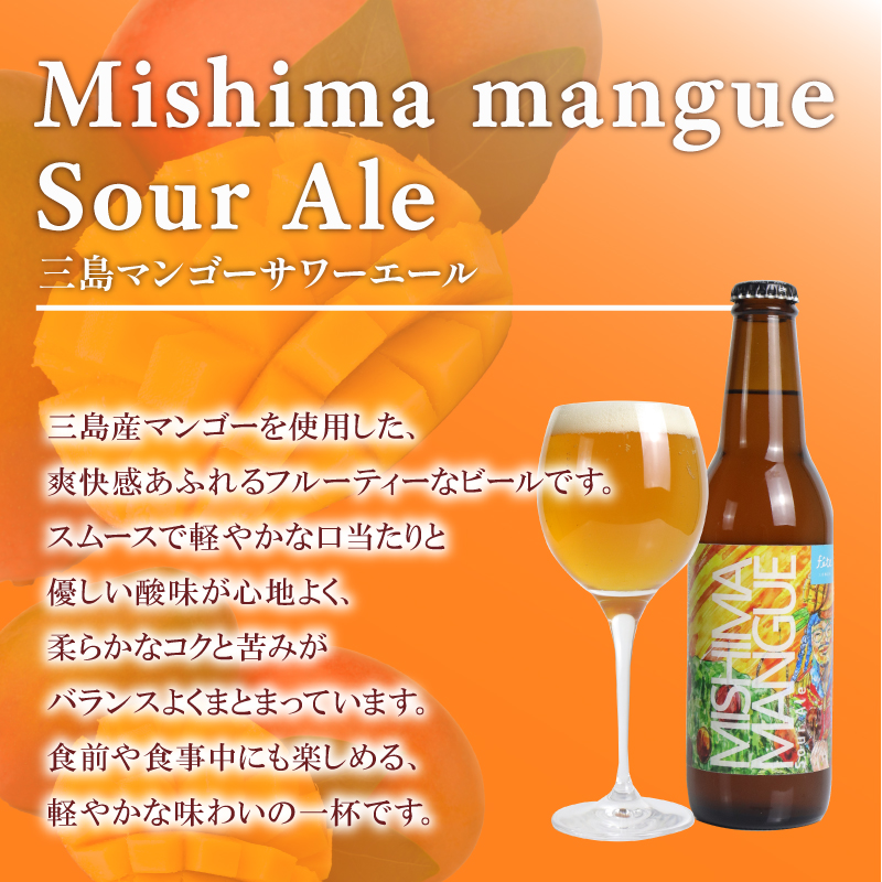 【定期便 2回】クラフトビール fete三島醸造所おまかせ 6本 クラフトビール フルーツ 酒 麦酒 ホップ 贈答 おすすめ 父の日 母の日 お祝い ギフト プレゼント パーティー 湧水 富士山 三島市 静岡県