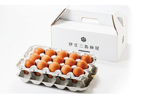 日の出たまご 30個入り 卵 たまご 生卵 玉子 鳥 鶏 箱根西麓 三島ブランド 濃厚 黄身 白身 ゆで卵 卵かけごはん オムレツ 贈り物 ギフト 養鶏場 平飼い 発酵飼料 富士 伏流水 弾力 たまごかけごはん 黄身 三島市 静岡県