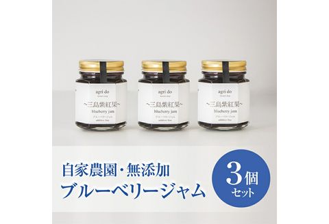 ブルーベリージャム 3個入り 100g×3個 化粧箱 フルーツ 果物 agri do 国産 手作り 朝食 パン トースト ヨーグルト 農家 富士山 南麓 自家農園 冷蔵保存 ショ糖 レモン果汁 三島市 静岡県