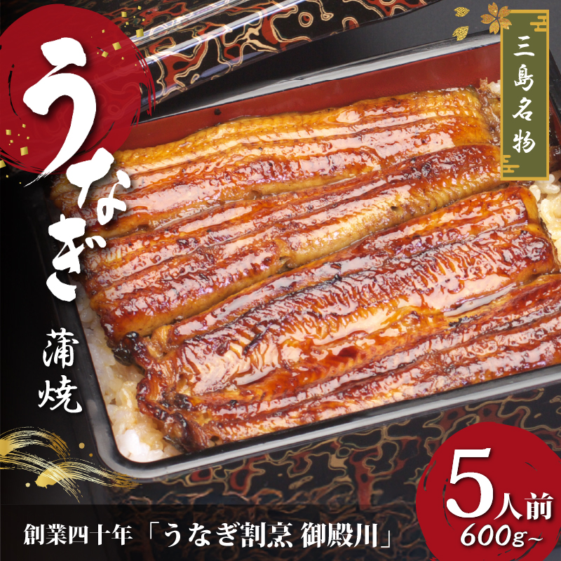 静岡 名産 うなぎ 蒲焼 5人前 600g 冷蔵 三島名物 3代続く うなぎ屋 真空パック 御殿川 土用丑の日 晩ごはん 家族 惣菜 鰻 蒲焼き ウナギ 老舗 鰻重 贈り物 ギフト プレゼント 鰻蒲焼 うな重 うな丼 郷土料理 グルメ 簡単調理 三島市 静岡県