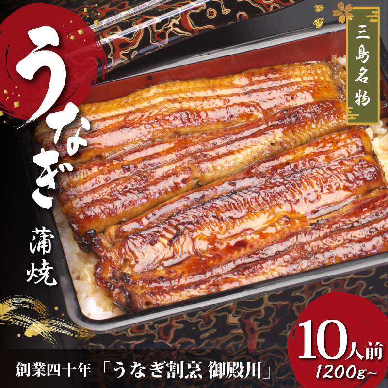 静岡 名産 うなぎ 蒲焼 10人前 1200g 冷蔵 三島名物 老舗 うなぎ屋 真空パック 御殿川 土用丑の日 晩ごはん 家族 惣菜 鰻 蒲焼き ウナギ うなぎ蒲焼 鰻蒲焼 蒲焼き たれ グルメ ごちそう 贈り物 ギフト 特産品 鰻重 うな重 うな丼 山椒 和食 郷土料理 三島市 静岡県