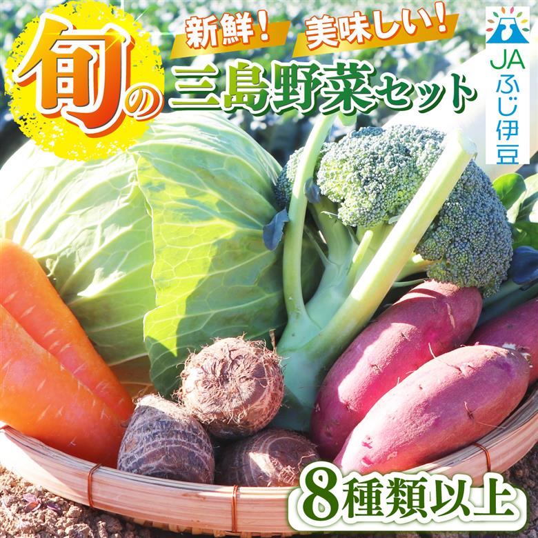 【2026年12月発送 秋冬野菜】三島野菜詰め合わせセット 8種類以上 JAふじ伊豆 ファーマーズマーケット みしまるかん お取り寄せ グルメ 野菜 旬の詰め合わせ 三島市 静岡県