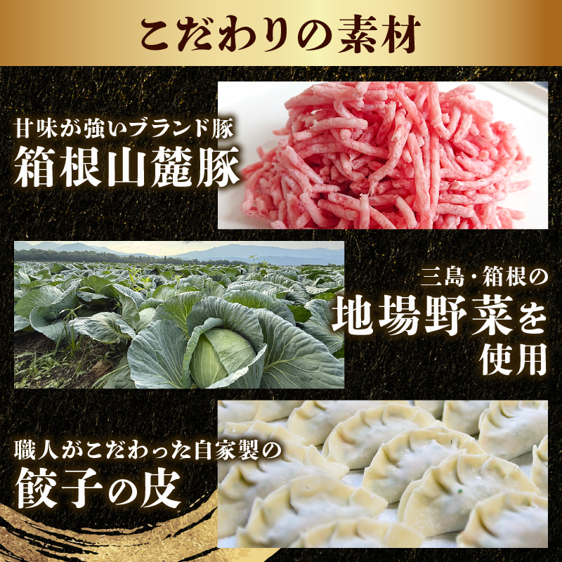 冷凍生餃子 60個 箱根山麓 豚 餃子 ぎょうざ ギョウザ 冷凍餃子 冷凍ギョーザ ギョーザ 生餃子 簡単 調理 静岡県 三島市