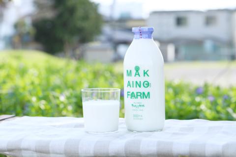 0010-09-01  朝霧高原 まかいの牧場 特選ギフト 牛乳 ヨーグルト チーズケーキ パン ノンホモ 生乳 100% 低温殺菌 乳製品 セット