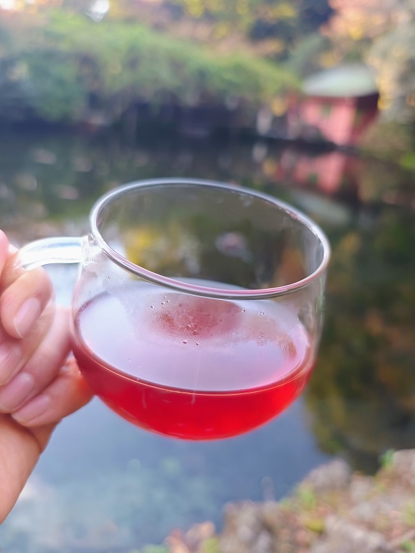 0006-109-01 富士宮ブレンドハーブティー 木花咲耶姫 ティーバッグ10個セット