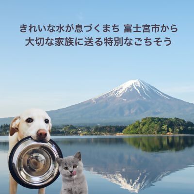 0006-111-01 WILD KITCHEN 犬猫用ニジマスジャーキー 丸ごと1本
