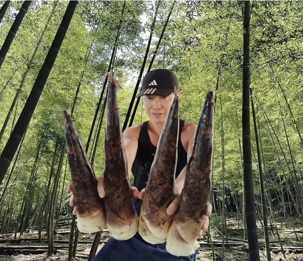 0010-69-06 タケノコ王の青果ハチク及びマダケ 約3kg 風岡たけのこ園 【5月以降順次発送予定】