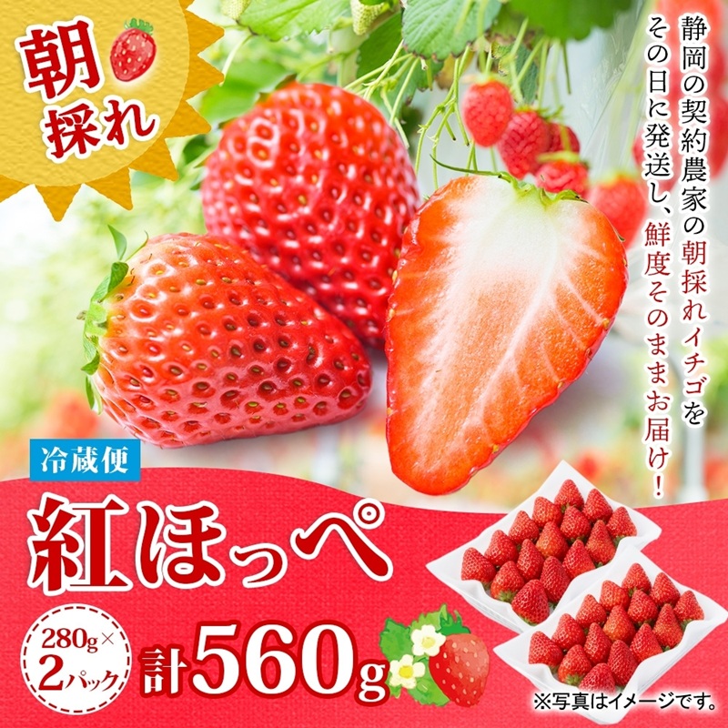 0011-106-07 富士宮市産 いちご 紅ほっぺ 280g×2P 計560g