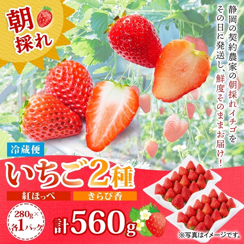 0011-106-08 富士宮市産 いちご 2種セット 紅ほっぺ & きらぴ香 各280g×1P 計560g