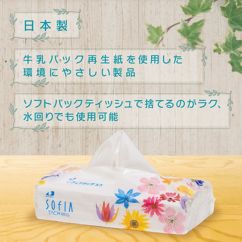 0016-107-01 マスコー製紙 ソフィアタッチエコ ティッシュペーパー 150組×5個×20パック (100個)